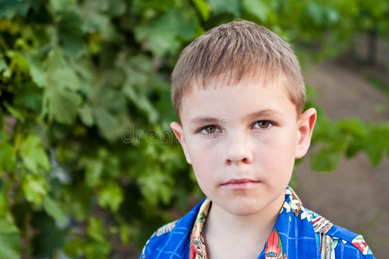 portrait-of-serious-8-year-old-boy-stock-image-image-19661147