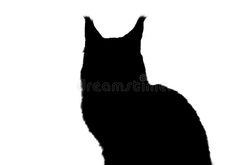 8+ Thousand Cat Profile Silhouette Royalty-Free Images, Stock Photos &  Pictures