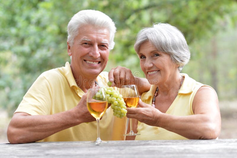 Elderly Couple Drinking Wine Stock Image Image of happy, expression