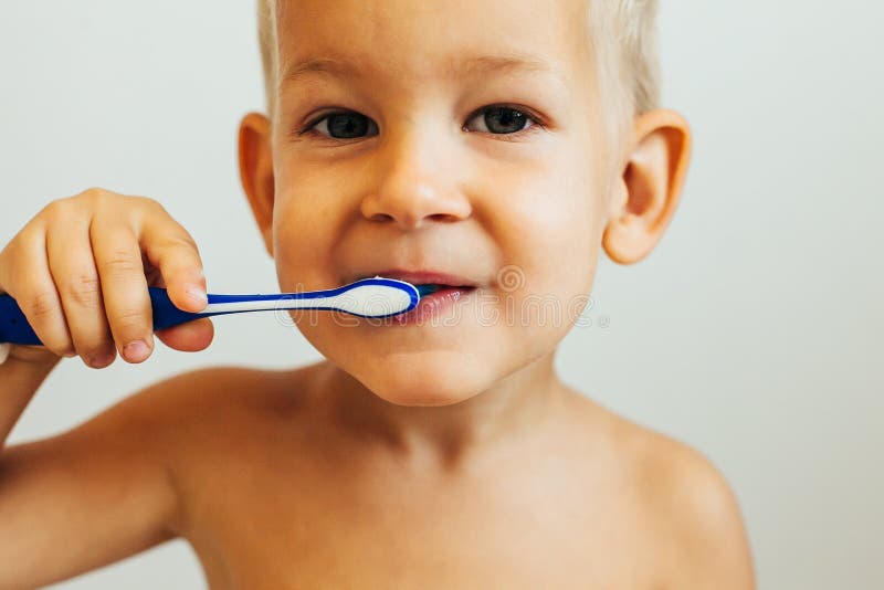 Portrait of a smiling little boy brushing his teeth royalty free stock image