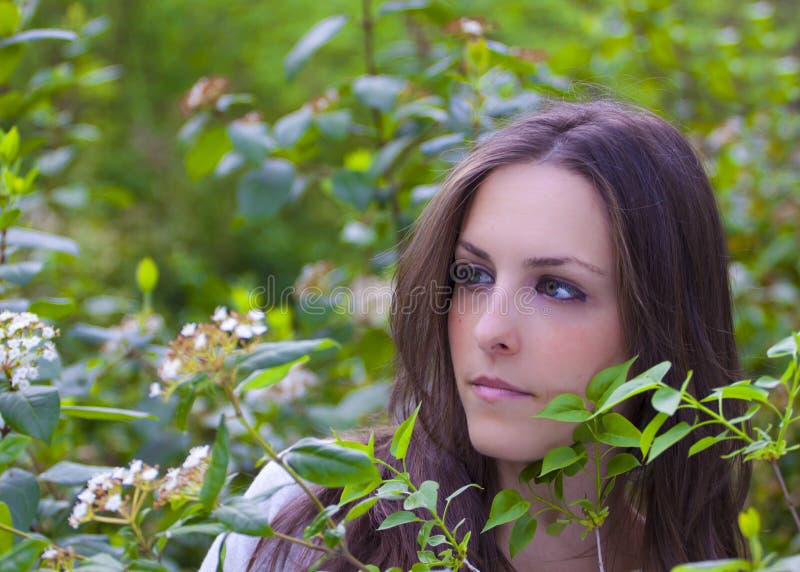 Portrait of a Spanish Brunette Stock Photo - Image of background ...