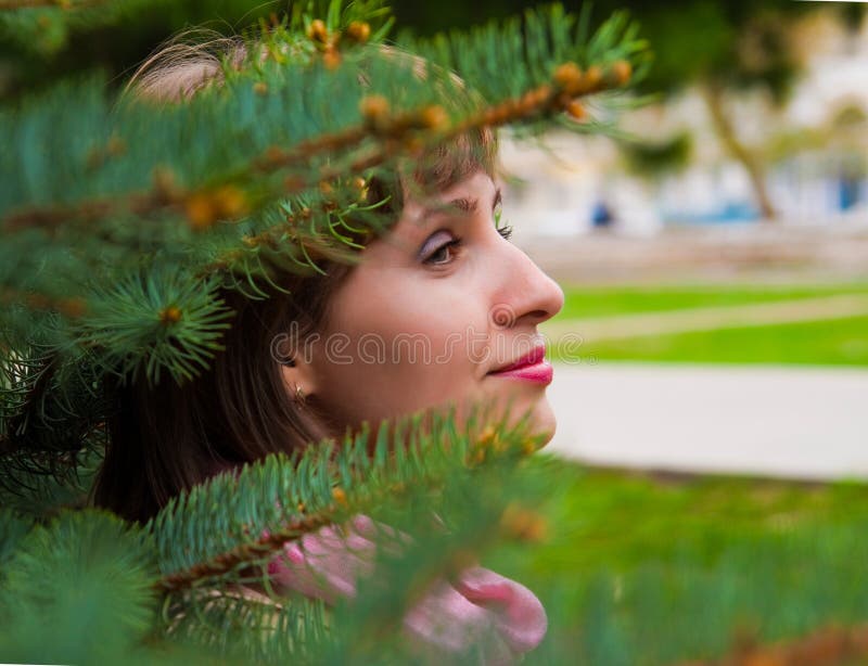 Portrait in spruce