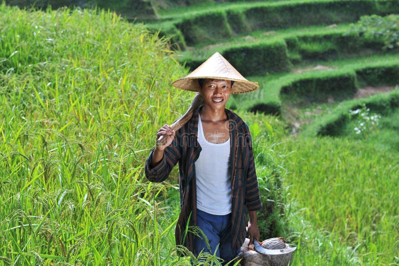 Portrait of traditional organic rice farmer with his tools.