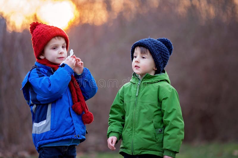 Portrait of two adorable boys, brothers, on a winter day, sunset