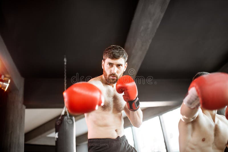 Two Professional Boxers Training at the Gym Stock Image Image of