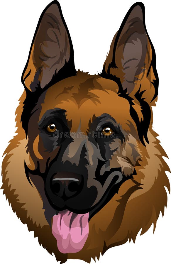 Portrait of a vector German Shepherd lines