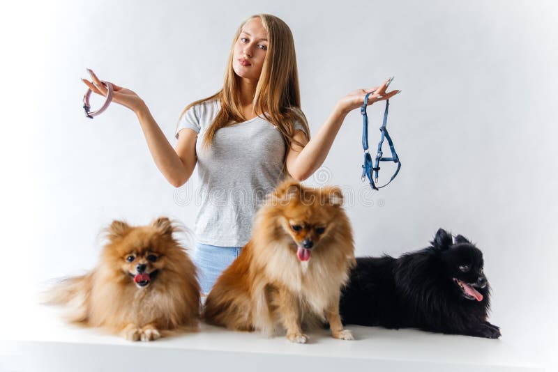 Portrait of a Woman Choosing a Leash for a Dog Stock Image Image of