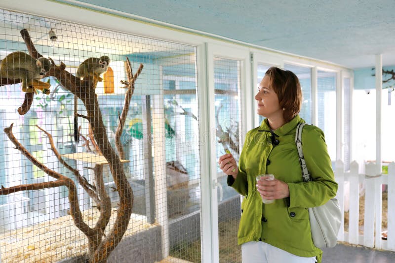 Woman Watching Monkey in Zoo Stock Image Image of macaque, face