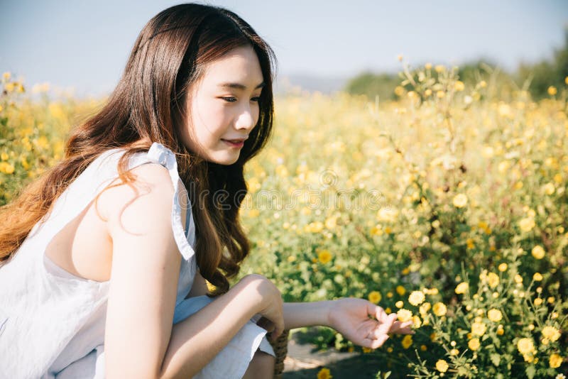 Portrait of Young Asian woman girl sitting and smile in flower garden stock images Portrait of Young Asian woman girl sitting and smile in flower garden stock images