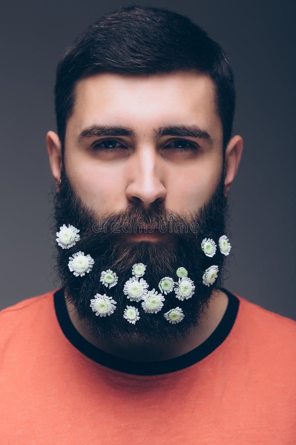 Portrait of young bearded hipster man with flowers in his beard royalty free stock photography Portrait of young bearded hipster man with flowers in his beard royalty free stock photography