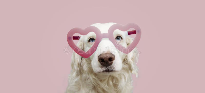 Portraitliebhaber in rosafarbenen, herzförmigen Gläsern feiert Valentinstag auf pastellrosa Hintergrund stockfoto Portraitliebhaber in rosafarbenen, herzförmigen Gläsern feiert Valentinstag auf pastellrosa Hintergrund stockfoto