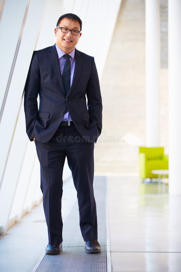 Portret die van Zakenman de Moderne Ontvangst van het Bureau bevinden zich royalty-vrije stock fotografie Portret die van Zakenman de Moderne Ontvangst van het Bureau bevinden zich royalty-vrije stock fotografie