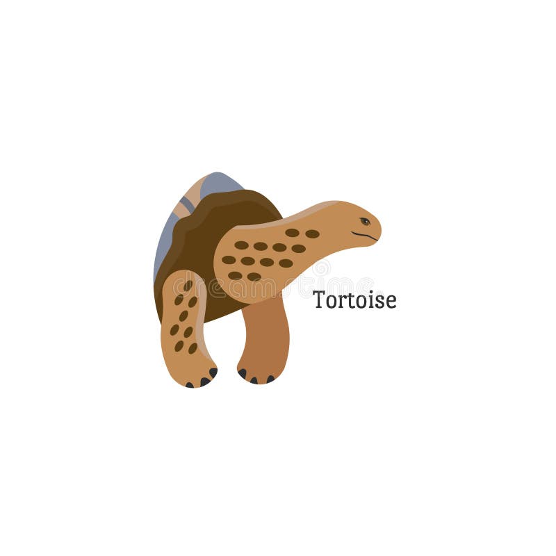 Portret głowy żółwia galapagos z tekstem o różnych wzorach i tatuażach Ikona stylu kreskowego twarzy słodkiego zwierzęcia royalty ilustracja Portret głowy żółwia galapagos z tekstem o różnych wzorach i tatuażach Ikona stylu kreskowego twarzy słodkiego zwierzęcia royalty ilustracja