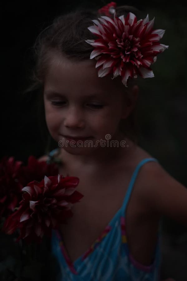 Portret kobiety z mnóstwem świeżo odebranych kolorowych dahlias i łusz amaranth kwiat na wiejskiej farmie podczas zachodu słońca.