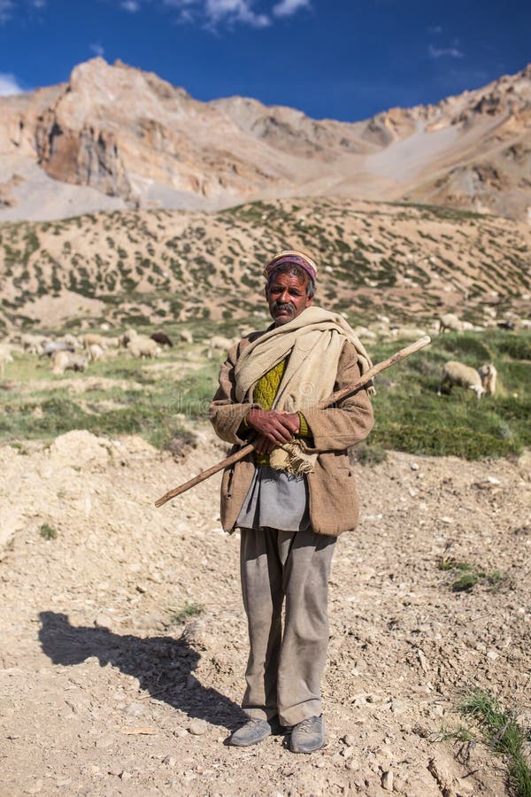 Portret niezidentyfikowana indyjska baca z jego sheeps blisko Sarchu obozu w Ladakh, Północny India zdjęcia royalty free Portret niezidentyfikowana indyjska baca z jego sheeps blisko Sarchu obozu w Ladakh, Północny India zdjęcia royalty free