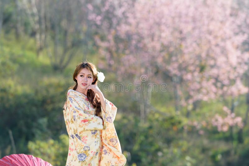 Portret van Aziatische traditionele vrouw royalty-vrije stock foto Portret van Aziatische traditionele vrouw royalty-vrije stock foto