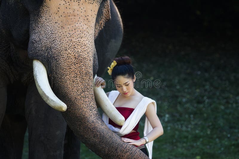 Portret van de Mooie landelijke Thaise Thaise kleding van de vrouwenslijtage met olifant in Chiang Mai royalty-vrije stock fotografie Portret van de Mooie landelijke Thaise Thaise kleding van de vrouwenslijtage met olifant in Chiang Mai royalty-vrije stock fotografie