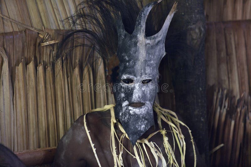 Portret van een Asmat-mens in masker stock afbeeldingen Portret van een Asmat-mens in masker stock afbeeldingen