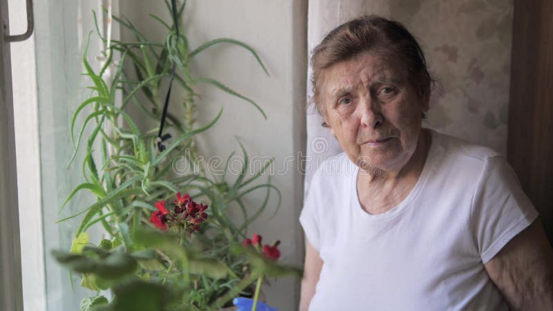 Portret van een Bejaarde met Rimpels die zich bij het Venster met Bloemen bevinden