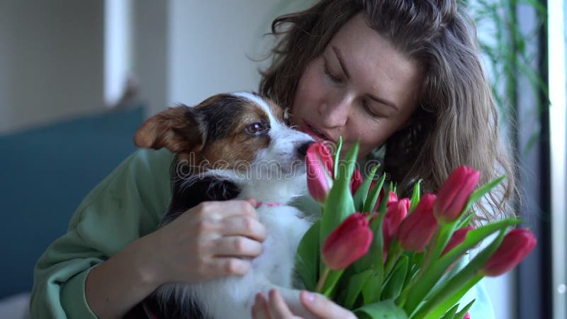 Portret van een mooie, krullende volwassen vrouw met een bouquet rode tulpen die haar huishond omhelst. jarig meisje of moeder
