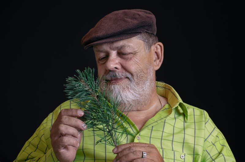 Portret van een nadenkende Kaukasische gebaarde hogere het bewonderen tak van pijnboom-boom royalty-vrije stock afbeelding Portret van een nadenkende Kaukasische gebaarde hogere het bewonderen tak van pijnboom-boom royalty-vrije stock afbeelding