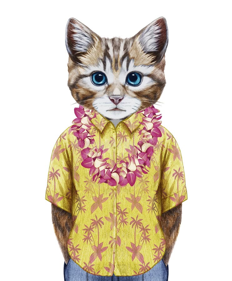 Portret van Kat in de zomeroverhemd met Hawaiiaanse Lei royalty-vrije illustratie Portret van Kat in de zomeroverhemd met Hawaiiaanse Lei royalty-vrije illustratie
