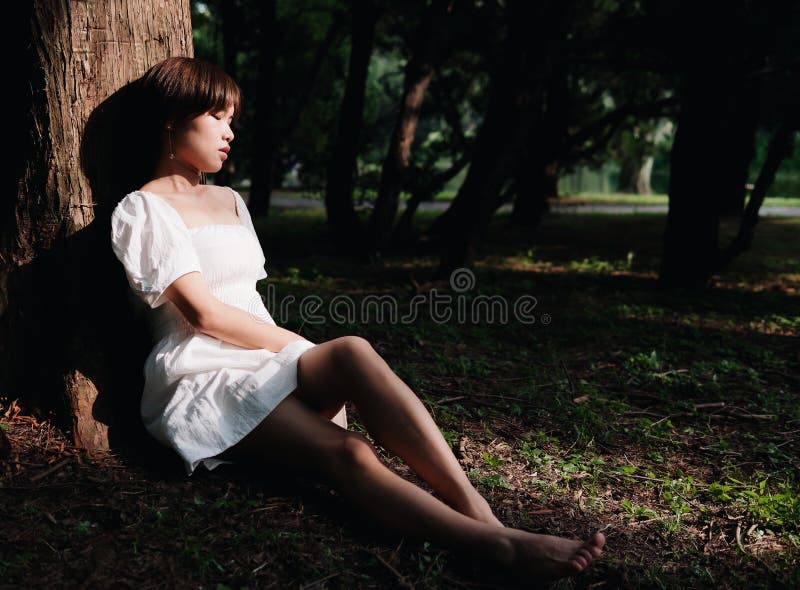 Portret van mooie Aziatische vrouwenzitting onder boom in de zomer bos, Chinees meisje in witte kledingsslaap met gesloten ogen stock afbeelding Portret van mooie Aziatische vrouwenzitting onder boom in de zomer bos, Chinees meisje in witte kledingsslaap met gesloten ogen stock afbeelding