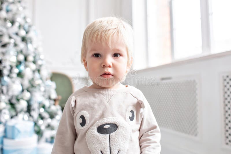 Portret weinig jongen Gelukkig Nieuwjaar Verfraaide Kerstboom Kerstmisochtend in heldere woonkamer het zitten op groen stock afbeelding Portret weinig jongen Gelukkig Nieuwjaar Verfraaide Kerstboom Kerstmisochtend in heldere woonkamer het zitten op groen stock afbeelding