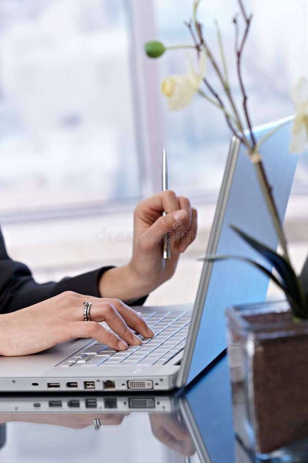Portretul de business al tastării pe laptop royalty free stock photo