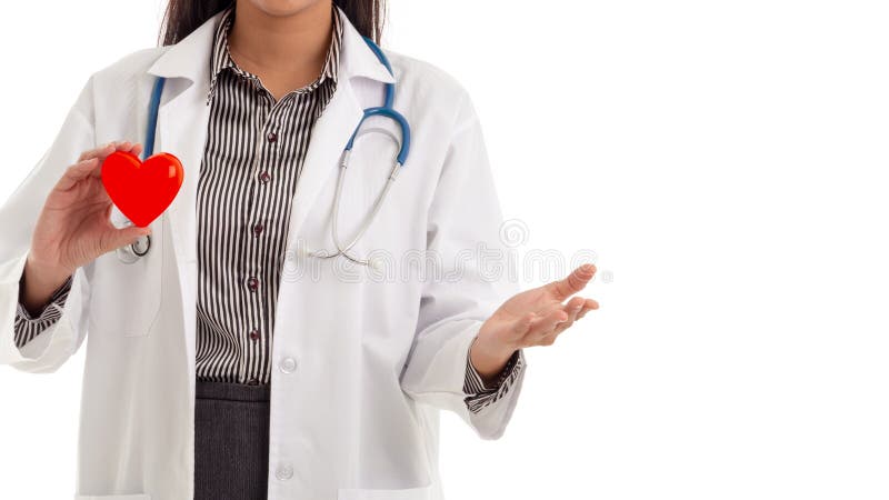 Porträt der jungen Ärztin mit dem Stethoskop, das rotes Herzformmodell auf weißem Hintergrund hält stockfotos Porträt der jungen Ärztin mit dem Stethoskop, das rotes Herzformmodell auf weißem Hintergrund hält stockfotos