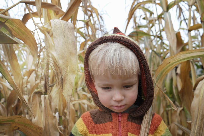 Porträt des freundlichen traurigen Kinderjungen in der bunten gestrickten Pullover verlor auf dem Herbstmaisgebiet. Kindheitsherbs lizenzfreie stockfotografie