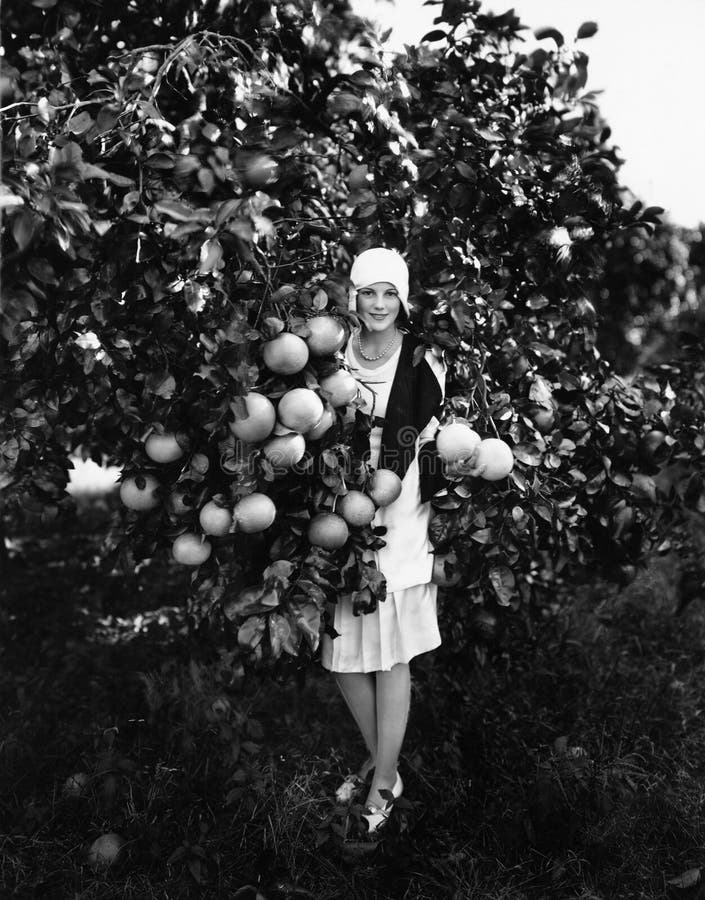 Portrait of a young woman holding grapefruits and standing in an orchard (All persons depicted are no longer living and no estate exists. Supplier grants that there will be no model release issues.). Portrait of a young woman holding grapefruits and standing in an orchard (All persons depicted are no longer living and no estate exists. Supplier grants that there will be no model release issues.)