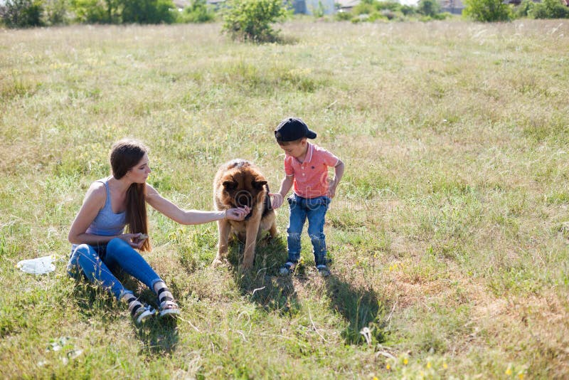 Porträt einer Mutter mit einem jungen Sohn und einem Hund stockbild Porträt einer Mutter mit einem jungen Sohn und einem Hund stockbild