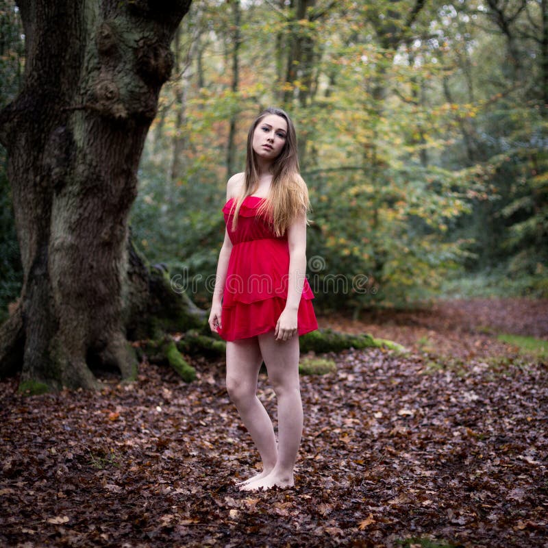 Portrait of a beautiful teenage girl with long dark blond hair wearing a short red dress having bare legs and feet standing in an autumn forest clearing on a bed of leaves with an old tree blurry in the background. Portrait of a beautiful teenage girl with long dark blond hair wearing a short red dress having bare legs and feet standing in an autumn forest clearing on a bed of leaves with an old tree blurry in the background.