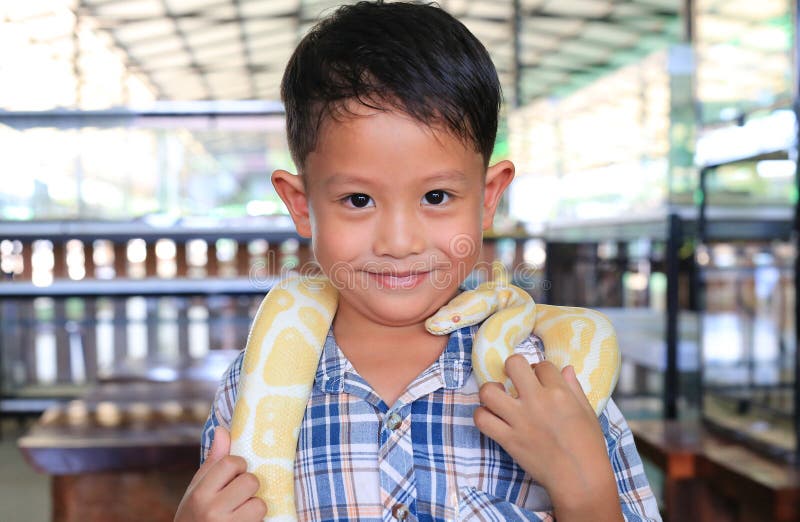 Porträt eines asiatischen kleinen Jungen mit Schlange oder königlicher Albino-Python-Boa-Konstriktor-Schlange