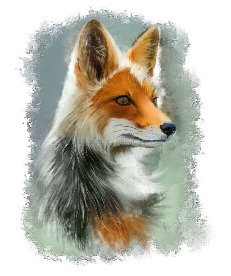 Porträt von Red Fox Aquarellzeichnung