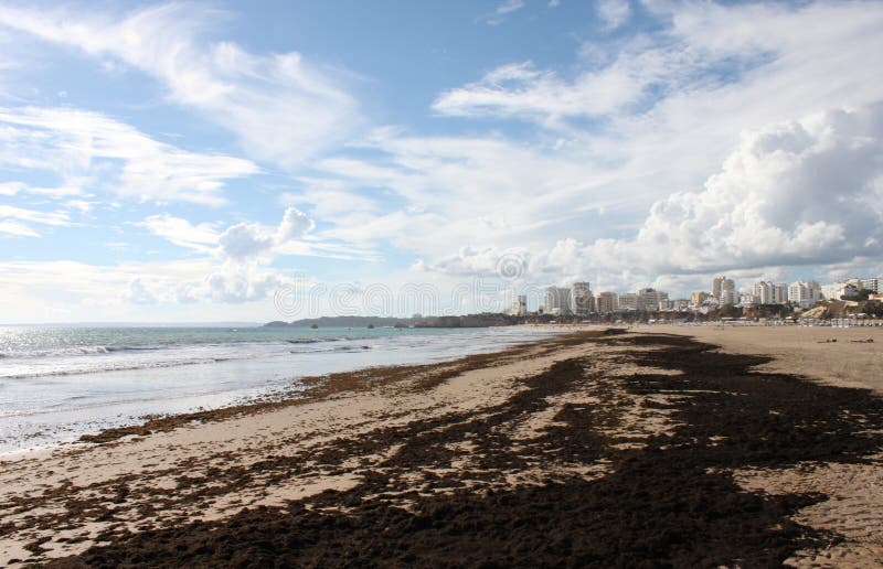 Portugal, Algarve, Portimao, Praia da Rocha. Beach after storm with seaweed on the sand, horizontal view. stock photos Portugal, Algarve, Portimao, Praia da Rocha. Beach after storm with seaweed on the sand, horizontal view. stock photos