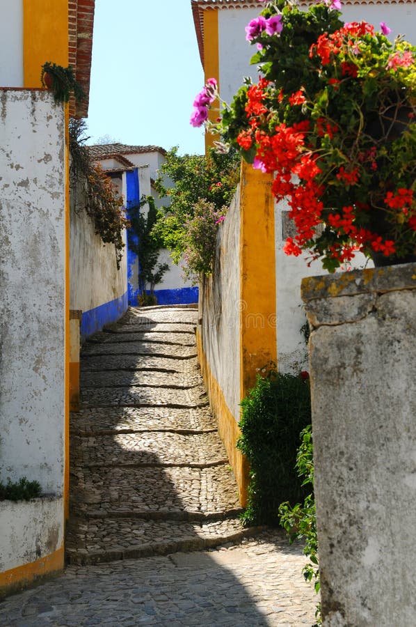 Portuguese alley and flowers royalty free stock images