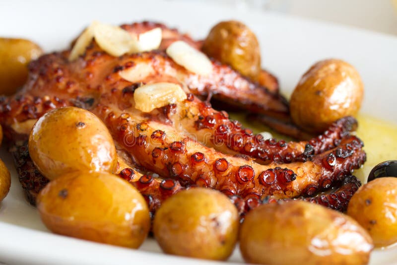 Portuguese Dish Octopus with Potato Stock Photo Image of restaurant