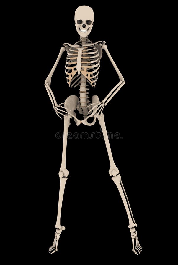Pose squelettique femelle de mode avec le chemin de coupure illustration libre de droits Pose squelettique femelle de mode avec le chemin de coupure illustration libre de droits