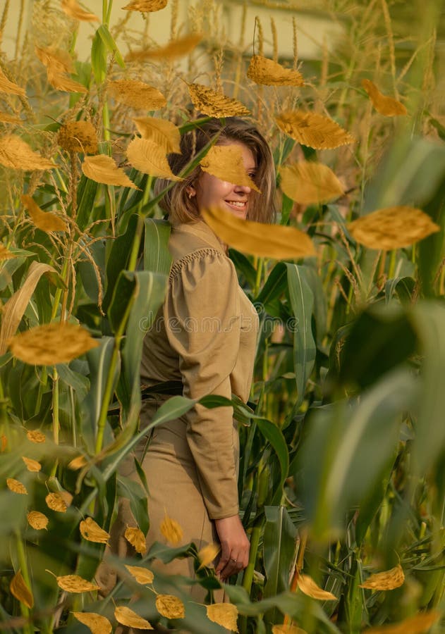 Positief model dat aan camera glimlacht. maïsveld en modemodel tussen bladeren in een maïsveld. herfstbladeren vallen royalty-vrije stock foto's Positief model dat aan camera glimlacht. maïsveld en modemodel tussen bladeren in een maïsveld. herfstbladeren vallen royalty-vrije stock foto's