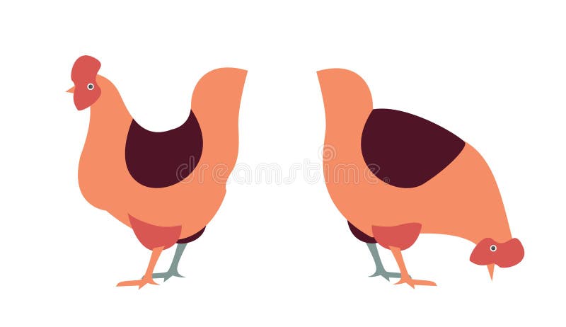 Position illustrée simple de poules illustration stock