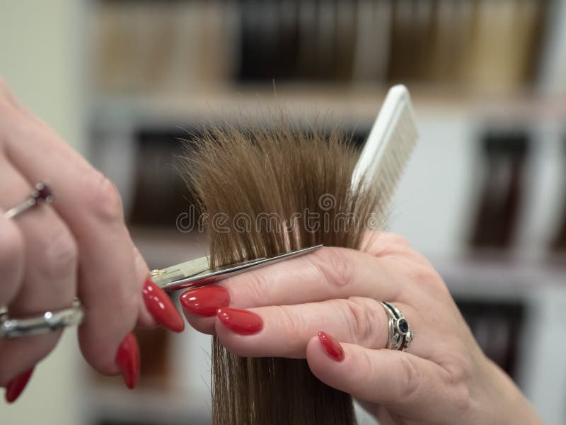 The Technique of Cutting Hair with Scissors. Stock Image Image of fashion, career 142719311