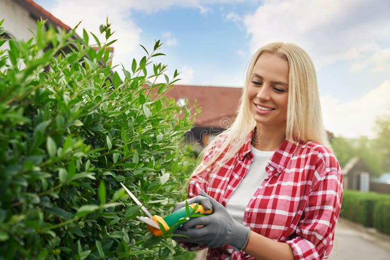 Positive caucasian woman with blond hair using gardening scissors for trimming overgrown bushes on back yard. Concept of people, summer time and landscaping. Positive caucasian woman with blond hair using gardening scissors for trimming overgrown bushes on back yard. Concept of people, summer time and landscaping.