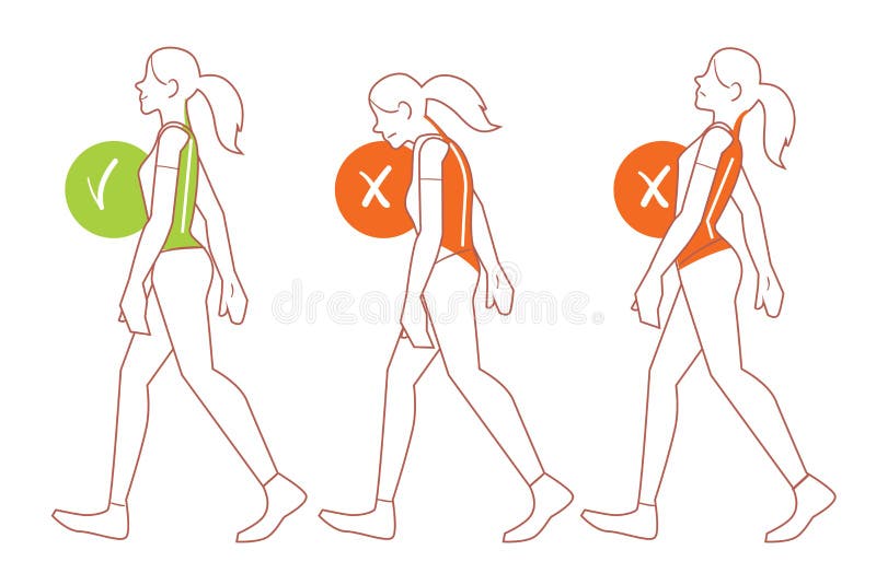 Posizione corretta della spina dorsale, cattiva posizione di camminata illustrazione vettoriale Posizione corretta della spina dorsale, cattiva posizione di camminata illustrazione vettoriale