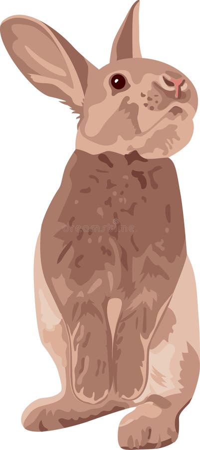 Posição do coelho de Brown com as orelhas bonitos grandes do coelho ilustração do vetor Posição do coelho de Brown com as orelhas bonitos grandes do coelho ilustração do vetor