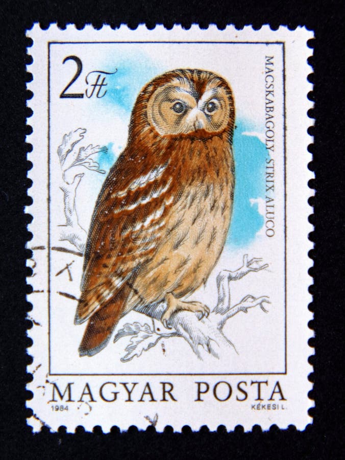 Postage stamp Hungary, 1984. Tawny Owl Strix aluco bird of prey