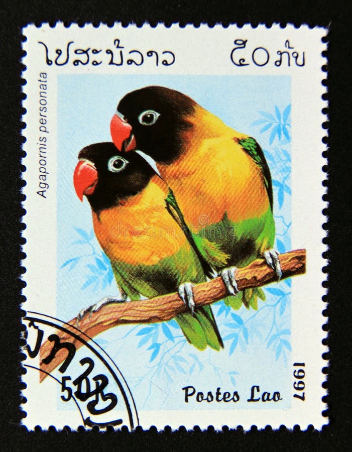 Post stamp printed in laos, 1997. Masked lovebird agapornis personata bird. Value 50 lao kip. From the series parrots. Post stamp printed in laos, 1997. Masked lovebird agapornis personata bird. Value 50 lao kip. From the series parrots.