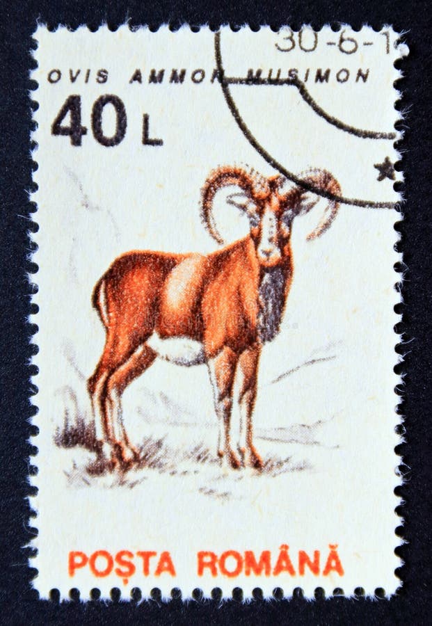 Postage Stamp Romania 1993, Mouflon, Ovis Ammon Musimon Editorial ...