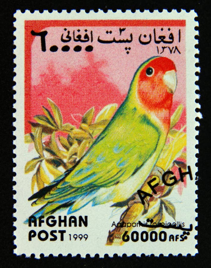Post stamp printed in afghanistan 1999. Rosy collared lovebird agapornis roseicollis bird. Value 60000 afghan afghani. Post stamp printed in afghanistan 1999. Rosy collared lovebird agapornis roseicollis bird. Value 60000 afghan afghani.